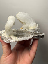 Load image into Gallery viewer, RARE COMBO Moroccan Ram’s Horn Selenite (Gypsum) with Yellow Botryoidal Fluorite Display Specimen