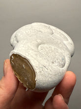 Load image into Gallery viewer, Chichaoua Menalite “Fairy Stone” Concretion | Natural Collector Display Specimen | Morocco