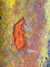 Load image into Gallery viewer, Pink Yellow Red Moroccan Agate | High Atlas Mountains •UNPOLISHED LAPIDARY SLAB