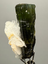 Load image into Gallery viewer, Green Cap Stak Nala Tourmaline with Cleavelandite – Haramosh Mountains, Pakistan | Thumbnail Specimen