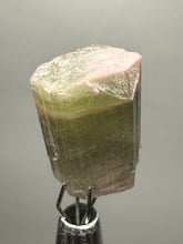 Load image into Gallery viewer, Raw Bi-Color Pink and Green Tourmaline Crystal Specimen | Ocean View Mine, Pala, California, USA
