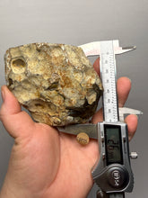 Load image into Gallery viewer, Premium Sumatra Agate Pair (Banded Chalcedony) Display Specimen | Indonesia