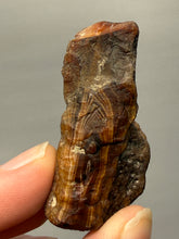 Load image into Gallery viewer, Premium Sumatra Agate (Banded Chalcedony) Display Specimen | Indonesia