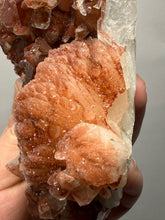 Load image into Gallery viewer, Rare Red Apophyllite + Druzy Red Stilbite Flowers — Deccan Traps, India