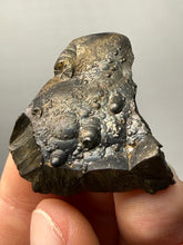 Load image into Gallery viewer, Botryoidal Stalactite Goethite (Iron Oxyhydroxide) Display Specimen | Turkey
