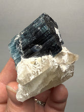 Load image into Gallery viewer, Blue Cap Tourmaline on Quartz Specimen – Pakistan