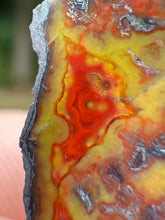 Load image into Gallery viewer, Moroccan Orange, Yellow, Red Agate Collected by Indigenous Nomads | Ancient Beauty from the Sahara