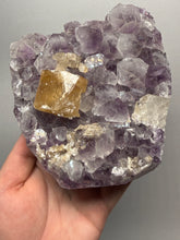 Load image into Gallery viewer, Golden Cubic Calcite on Amethyst Cluster | Maharashtra, India (Collector Specimen)