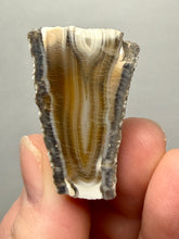 Load image into Gallery viewer, Premium Sumatra Agate (Banded Chalcedony) Display Specimen | Indonesia