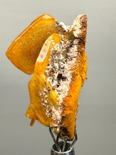 Load image into Gallery viewer, High-Grade Orange Wulfenite Collector Display Specimen | La Morita Mine, Chihuahua, Mexico