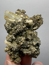 Load image into Gallery viewer, Marcasite, Pyrite & Barite Cabinet Specimen | Bounhas Mine, Oumjrane, Morocco