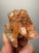 Load image into Gallery viewer, Rare Red Druzy Apophyllite with Red Stilbite Cluster | India | Collector Mineral Specimen