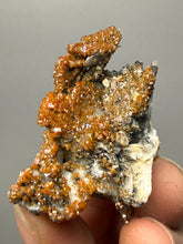 Load image into Gallery viewer, Natural Vanadinite on Matrix | Collector Mineral Specimen | Morocco
