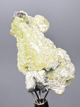 Load image into Gallery viewer, Vibrant Yellow Brucite Thumbnail Mineral Specimen | Collector Crystal from Killa Saifullah District in Balochistan Province, Pakistan