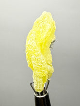 Load image into Gallery viewer, Vibrant Yellow Brucite Thumbnail Mineral Specimen | Collector Crystal from Killa Saifullah District in Balochistan Province, Pakistan