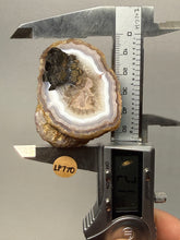 Load image into Gallery viewer, Natural Laguna Agate Collector Mineral Specimen | Chihuahua, Mexico