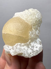 Load image into Gallery viewer, Rare Botryoidal Yellow Fluorite on Quartz Matrix Collector Mineral Specimen – Maharashtra, India