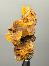 Load image into Gallery viewer, High-Grade Orange Wulfenite Collector Display Specimen | La Morita Mine, Chihuahua, Mexico