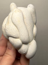 Load image into Gallery viewer, Chichaoua Menalite “Fairy Stone” Concretion | Natural Collector Display Specimen | Morocco
