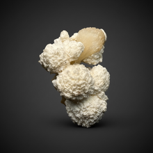 Load image into Gallery viewer, High-Grade Botryoidal Mordenite & Peach Stilbite — Zeolite Mineral Specimen | Maharashtra, India