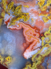 Load image into Gallery viewer, Pink Yellow Red Moroccan Agate | High Atlas Mountains •UNPOLISHED LAPIDARY SLAB