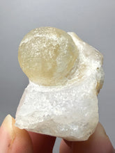 Load image into Gallery viewer, Rare Botryoidal Yellow Fluorite on Quartz Matrix Collector Mineral Specimen – Maharashtra, India