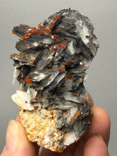 Load image into Gallery viewer, Natural Vanadinite on Matrix | Collector Mineral Specimen | Morocco