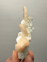 Load image into Gallery viewer, Gemmy Stilbite Crystals on Volcanic Stalactite — Deccan Traps, Maharashtra, India