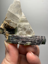 Load image into Gallery viewer, Blue Cap & Green Cap Dark Green Stak Nala Tourmaline on Cleavelandite Matrix – Haramosh Mountains, Pakistan