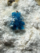 Load image into Gallery viewer, Rare Electric Blue Pentagonite on Druzy Matrix – Collector Mineral Specimen | India