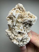 Load image into Gallery viewer, Desert Rose Selenite (Gypsum) — Mineral Display Specimen | Mexico