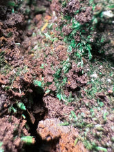 Load image into Gallery viewer, Brochantite Collector Mineral Specimen – Vivid Green Copper Crystals from Morocco