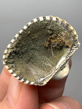 Load image into Gallery viewer, Bivalve (Pelecypoda) Fossil Sea Shell with Chalcopyrite | Mineralized Fossil Specimen | Indonesia