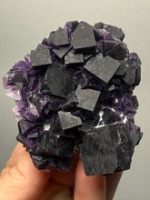 Load image into Gallery viewer, High-Grade Rare Purple-Green-Blue Cubic Fluorite | Cabinet Mineral Collector Specimen | Zhejiang Province, China