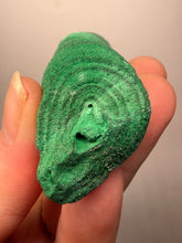 Load image into Gallery viewer, 3.3” Druzy Malachite Stalactites — Botryoidal Cave Formation | DR Congo | Collector Mineral Specimen