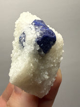 Load image into Gallery viewer, Afghan Lazurite Specimen | Deep Blue Lapis-Grade Crystal on Matrix | Collector Display Mineral