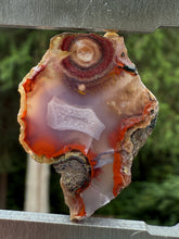 Load image into Gallery viewer, Rare Moroccan Orbicular Agate Collected by Indigenous Nomads | Ancient Beauty from the Sahara