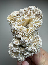 Load image into Gallery viewer, Desert Rose Selenite (Gypsum) — Mineral Display Specimen | Mexico