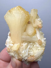 Load image into Gallery viewer, High-Grade Golden Calcite on Golden Stilbite — Maharashtra, India (Collector Cabinet Specimen)