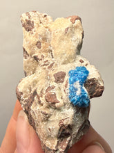 Load image into Gallery viewer, Rare Electric Blue Cavansite on Druzy Matrix – Collector Mineral Specimen | India
