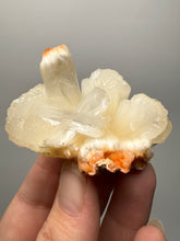 Load image into Gallery viewer, Cream Stilbite Flower on
Orange Heulandite Zeolite Cluster – India (Collector Mineral Specimen)
