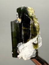 Load image into Gallery viewer, Green Cap Stak Nala Tourmaline with Cleavelandite – Haramosh Mountains, Pakistan | Thumbnail Specimen