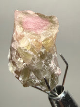 Load image into Gallery viewer, Raw Bi-Color Tourmaline Crystal Specimen | Ocean View Mine, Pala, California, USA
