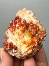 Load image into Gallery viewer, Natural Vanadinite on Matrix | Collector Mineral Specimen | Morocco