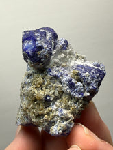 Load image into Gallery viewer, Afghanite & Lazurite on Matrix Collector Display Specimen | Badakhshan Region, Afghanistan