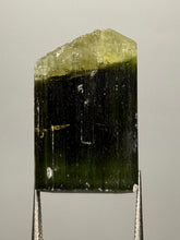 Load image into Gallery viewer, Green Cap Stak Nala Tourmaline with Cleavelandite – Haramosh Mountains, Pakistan | Thumbnail Specimen