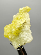 Load image into Gallery viewer, Vibrant Yellow Brucite Thumbnail Mineral Specimen | Collector Crystal from Killa Saifullah District in Balochistan Province, Pakistan