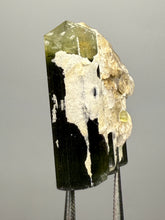 Load image into Gallery viewer, Green Cap Stak Nala Tourmaline with Cleavelandite – Haramosh Mountains, Pakistan | Thumbnail Specimen