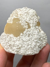 Load image into Gallery viewer, Rare Botryoidal Yellow Fluorite on Quartz Matrix Collector Mineral Specimen – Maharashtra, India