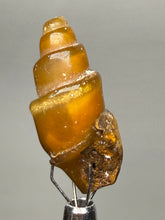 Load image into Gallery viewer, Agatized Gastropod Fossil Specimen | Morocco